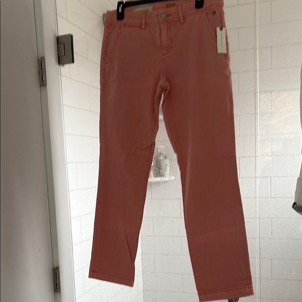 Pilcro and the letterpress chino Coral Pants- 28